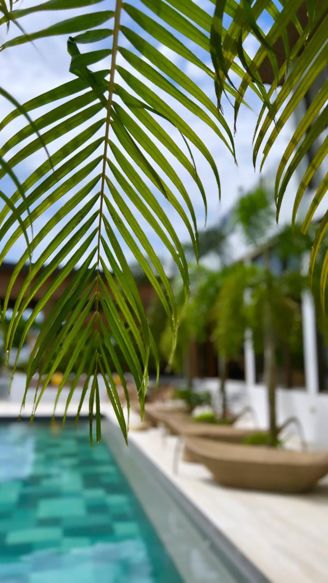 Ahana Resort El Nido Ngoại thất bức ảnh